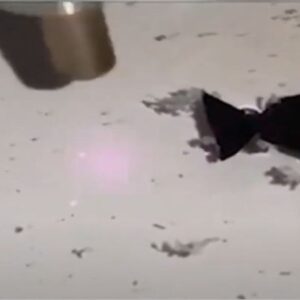 robot baliklar kirlilikle savasiyor denizler ve okyanuslar artik ter temiz olacak bWjjlR9V