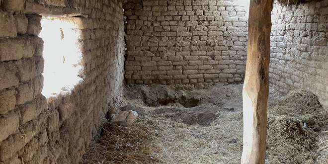 14 yildir kayip olan kardesini oldurdugu belirlenen zanli tutuklandi kfDWIApJ.jpg