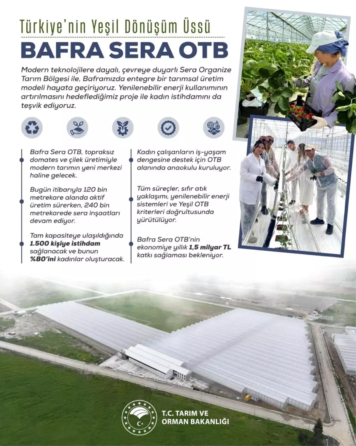 bafra sera organize tarim bolgesi projesi kadin istihdami ve ekonomik katki ekvgdcK5.jpg