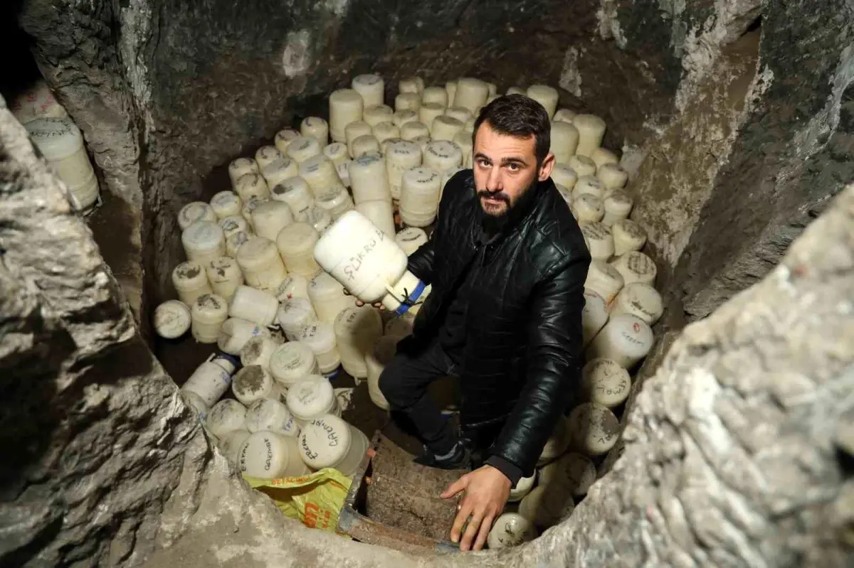 zarada dogal peynir oteli 9bIDan5w.jpg