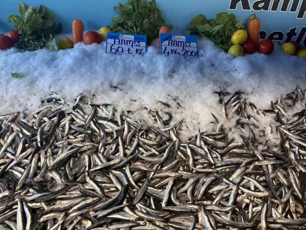 hamsinin fiyati dusmeye devam ediyor pG8Yvj9s.jpg