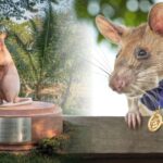 altin-nisanli-kahraman-sican-icin-7-metrelik-heykel-dikildi-taAphW5y