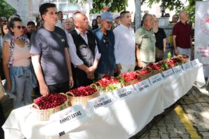 img_1781393466373