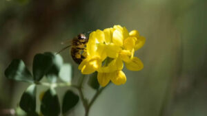 img_1782121704394